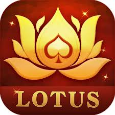 rummy sky 51 bonus apk download
